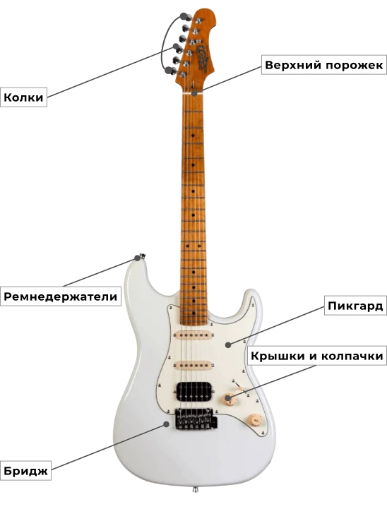 Электрогитары и бас-гитары