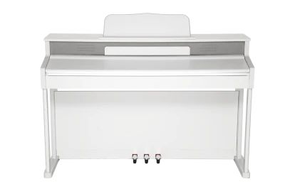 p6zswqmqytp05b1gq5w8kicp72gzpfsn