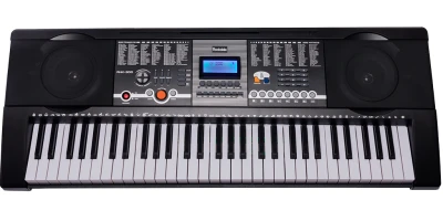 Синтезатор Rockdale Keys 61 клавиша RHK-300