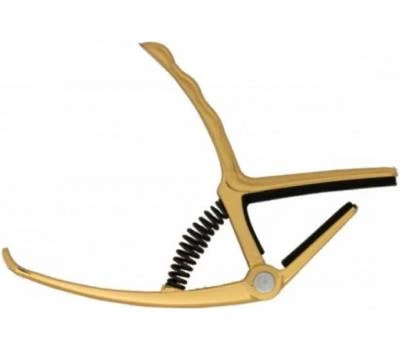 dt57878_118479-400x350