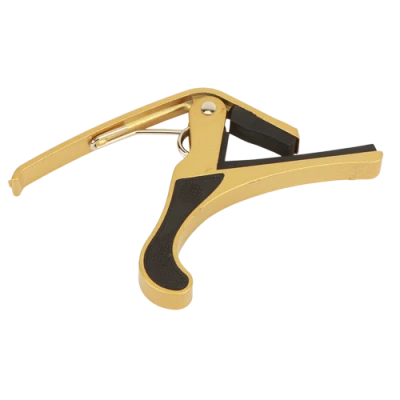 i0sm5ak4z00856dpta7c71en79icwkax