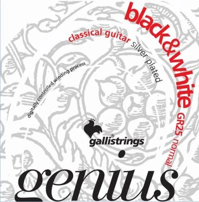 92e9f8caa5e8aee62a7fcaf35f2961cc