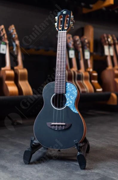 DSC03529