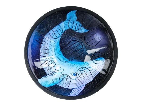 81087f28_890a_11ee_80d7_00155d073801_6dc48fd3_8cef_11ee_80d7_00155d073801_2