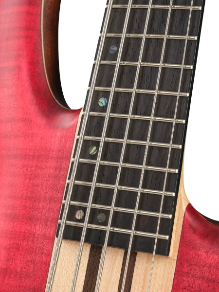 2f903f4a_4c7d_11e9_b8c0_001e67103b78_5bb0cf84_a939_11ed_80d6_00155d073801_8