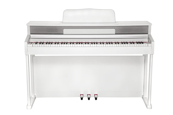 xlq9nj6zbpsfnnm404d7jbz2if59v6dy