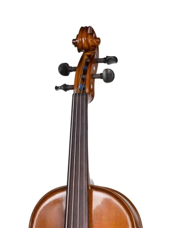 749b7e2b_7028_11ea_9560_001e67103b79_46250eae_5b13_11eb_b20b_001e67103b79_3