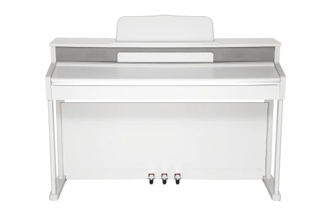 p6zswqmqytp05b1gq5w8kicp72gzpfsn