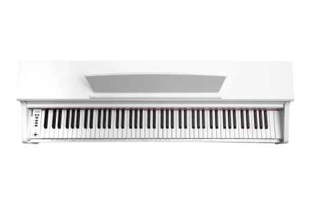 g43so4oo9sp8nxa4pwl5e36xjy0nawtf