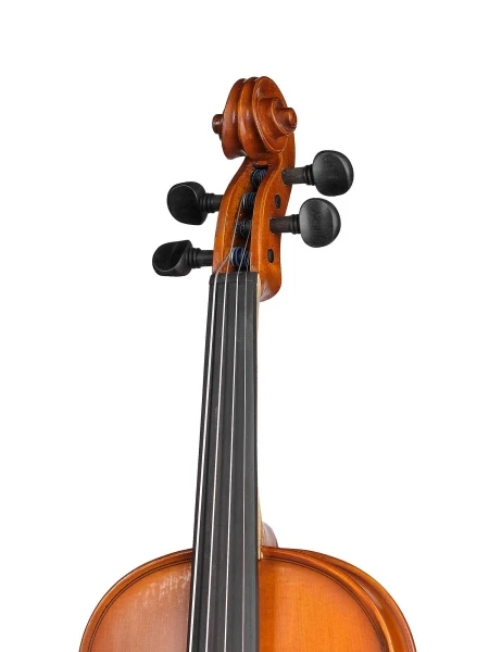 749b7dfd_7028_11ea_9560_001e67103b79_57162b95_5fa7_11eb_b20b_001e67103b79_3