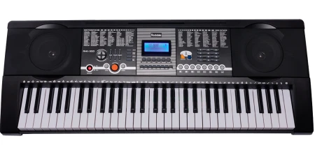 Синтезатор Rockdale Keys 61 клавиша RHK-300
