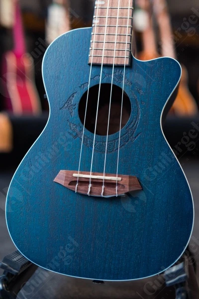 01b06e50-8500-11ec-89e4-7085c2924f1e_5ae2d853-e539-11ee-8120-f02f74d131e3