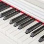 3o02u86gv1c0swgsgoccw0co8