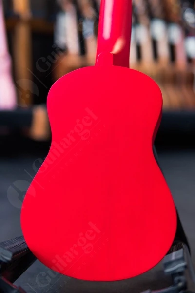 DSC04955
