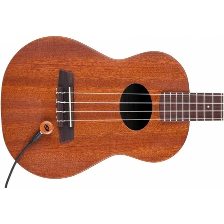 dt52307_184687-1400x1400