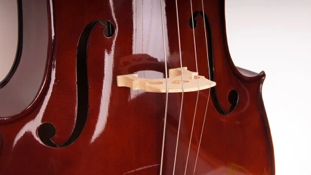 b540f200_31d4_11e4_bbd9_001e67103b78_41380499_8c6f_11e6_8be4_001e67103b78