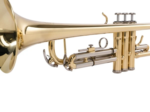 143b5ab1_d9a6_11e3_88bd_001e67103b78_048301ac_92cb_11ef_80e2_00155d073801_3