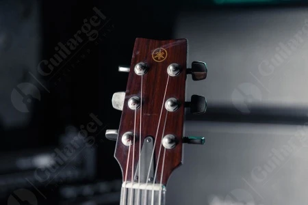 DSC06045